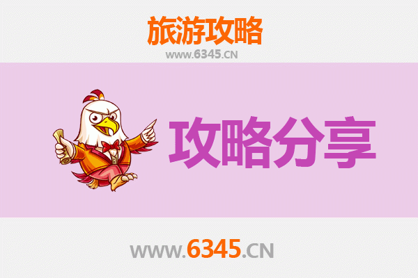 泰州兴化旅游攻略：跟团与自由行全方位对比