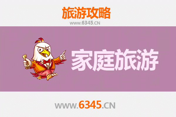 泰州兴化家庭旅游全攻略：水乡风情与亲子乐趣完美融合